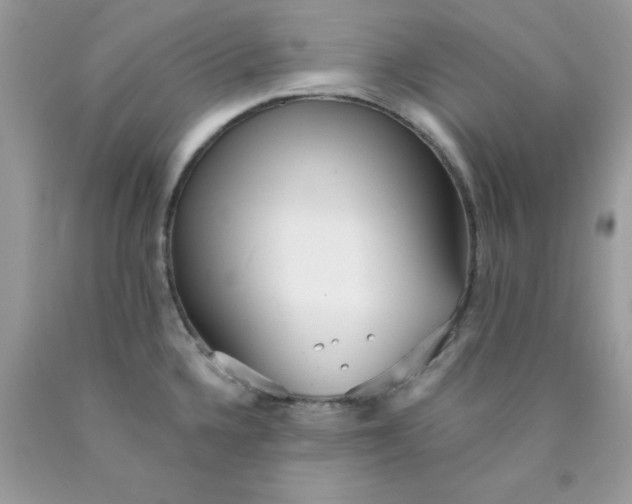 X0000089941336200707201854