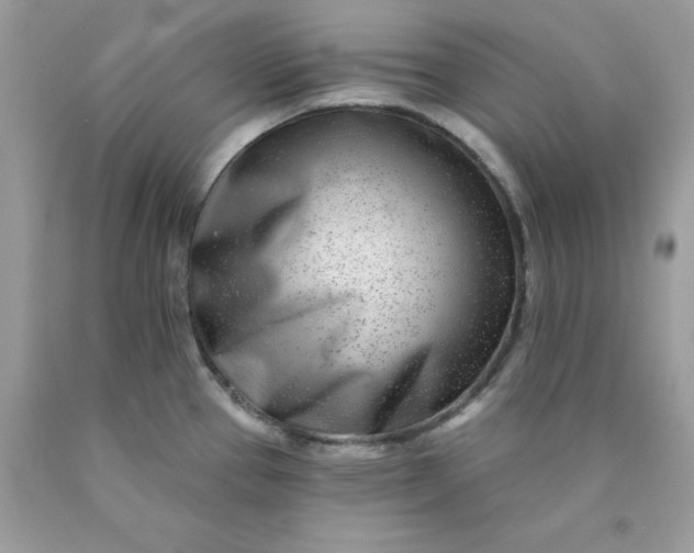 X0000089941337200707201854