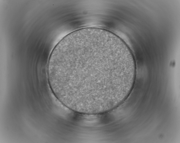 X0000089941338200707201854