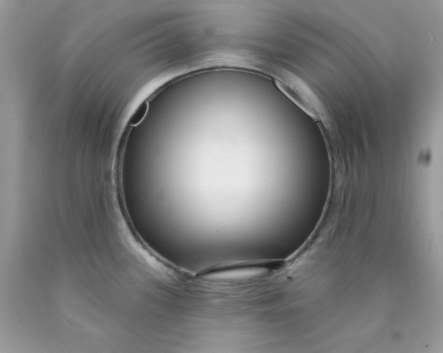 X0000089941339200707201854