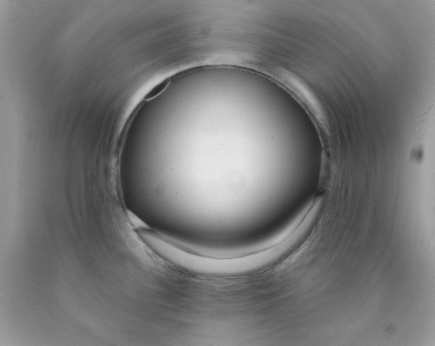 X0000089941340200707201854