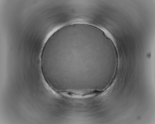 X0000089941341200707201854