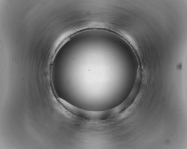 X0000089941342200707201855