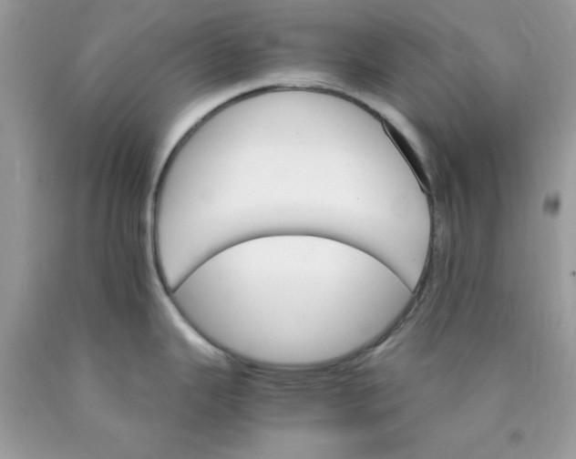 X0000089941343200707201855