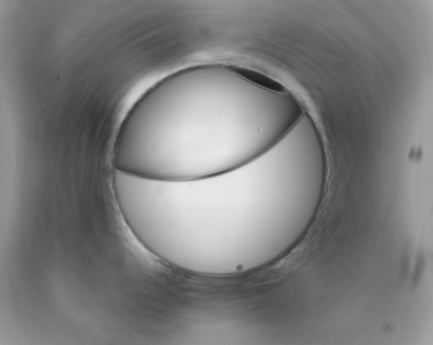 X0000089941344200707201855