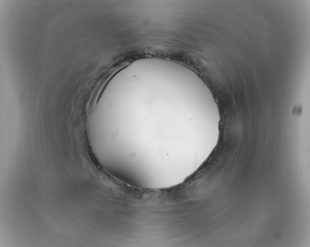 X0000089941345200707201854