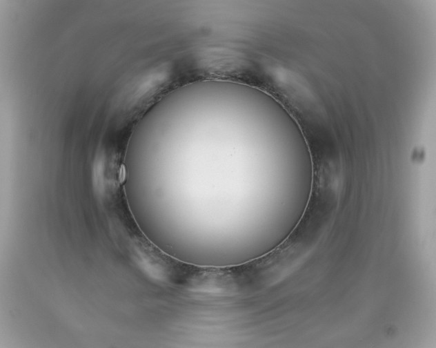 X0000089941346200707201854