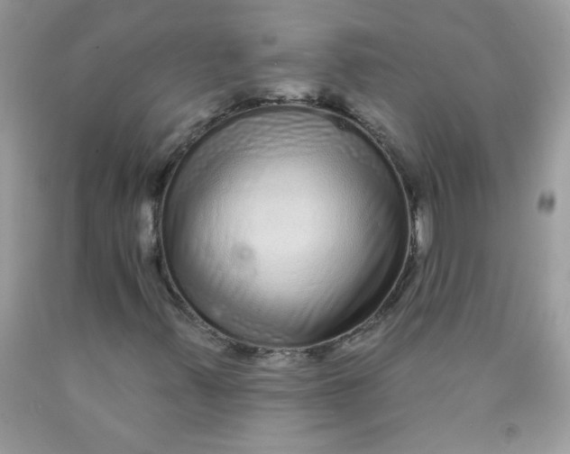 X0000089941347200707201854