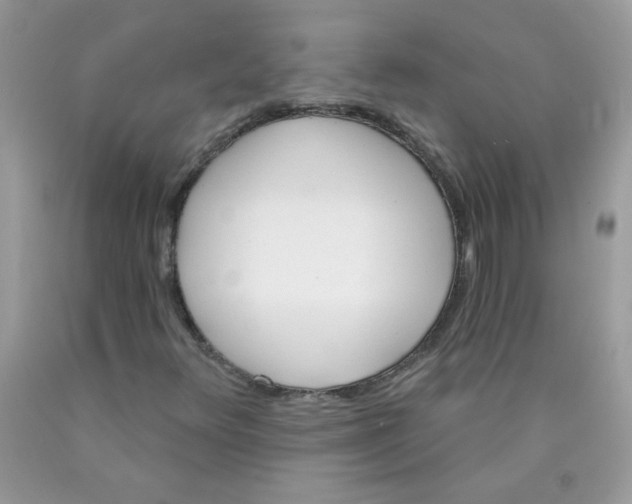 X0000089941348200707201854