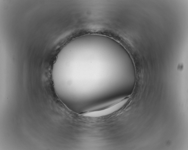 X0000089941349200707201854