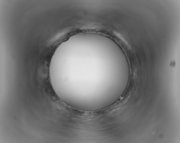 X0000089941350200707201854