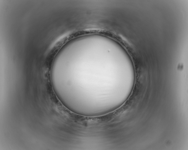 X0000089941351200707201854