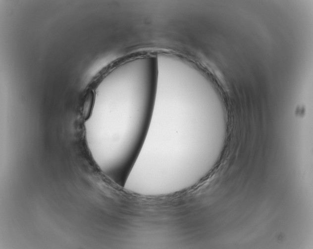 X0000089941352200707201854