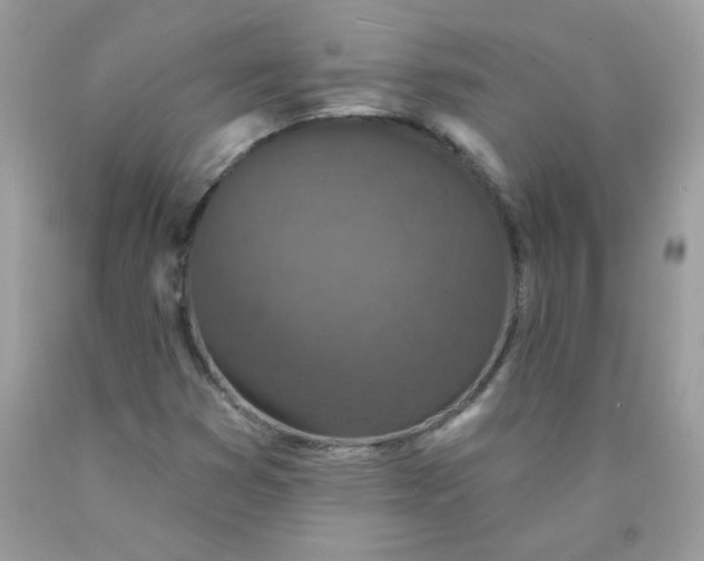 X0000089941353200707201854