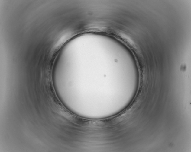 X0000089941354200707201854