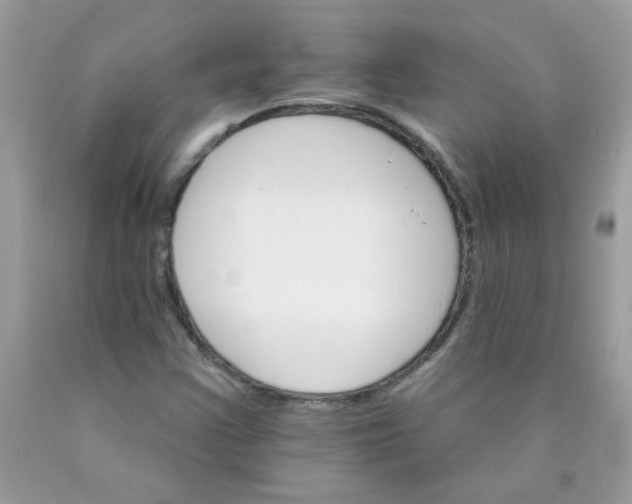 X0000089941355200707201854