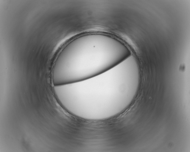 X0000089941356200707201854