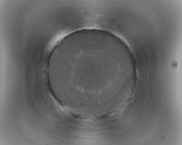 X0000089941359200707201854