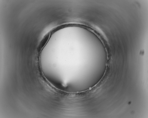 X0000089941360200707201854