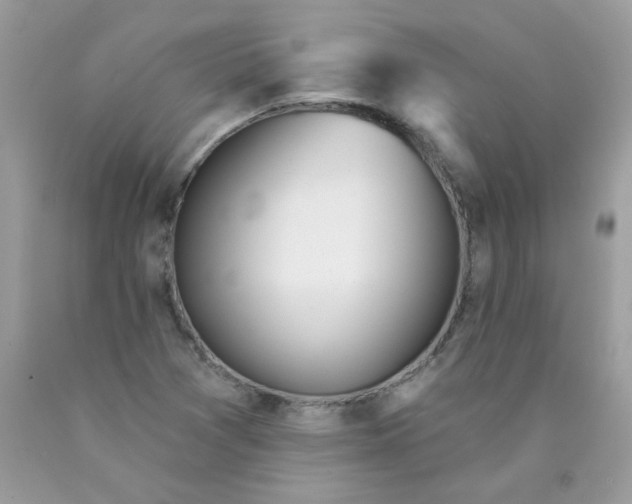 X0000089941361200707201854