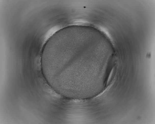 X0000089941362200707201854