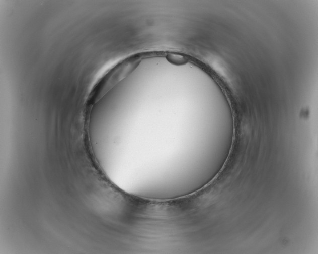 X0000089941364200707201854