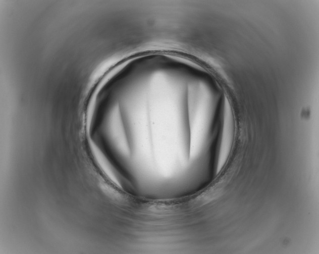 X0000089941366200707201854