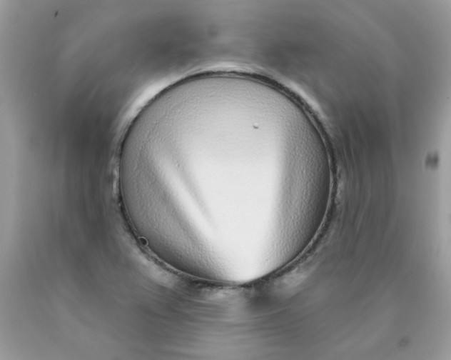 X0000089941367200707201854