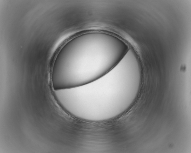 X0000089941368200707201854