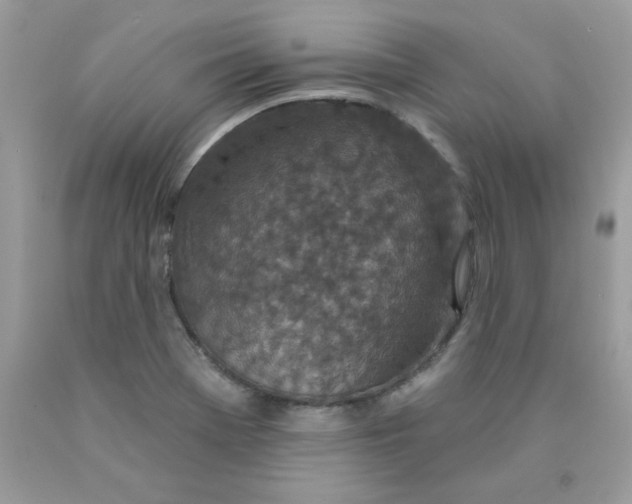 X0000089941369200707201854