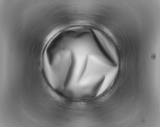 X0000089941370200707201854