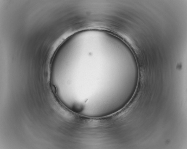 X0000089941371200707201853