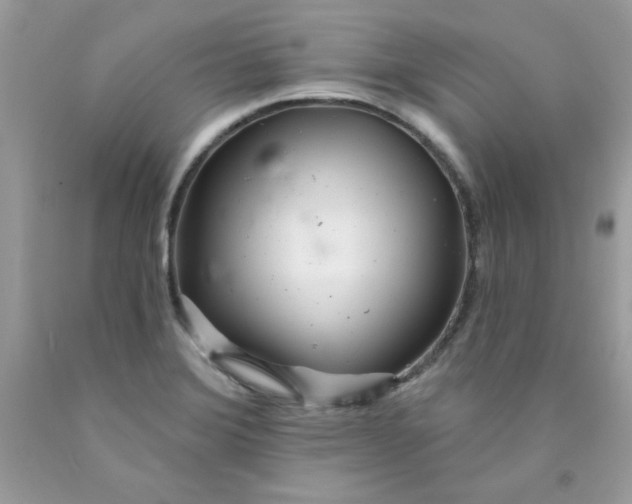 X0000089941372200707201853