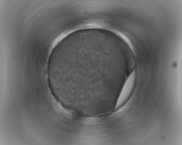 X0000089941373200707201853