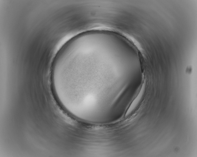 X0000089941375200707201853