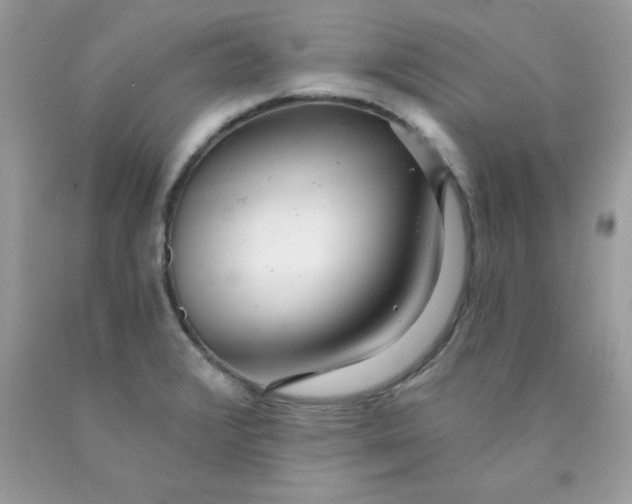 X0000089941376200707201853