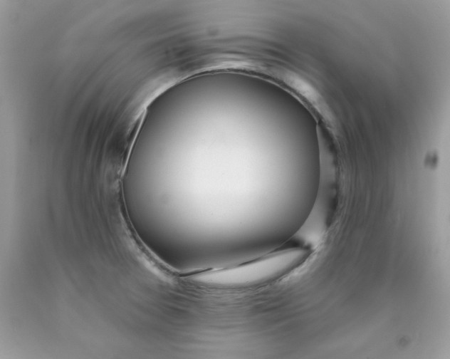 X0000089941377200707201853