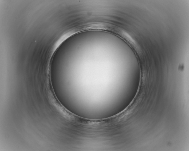 X0000089941378200707201853