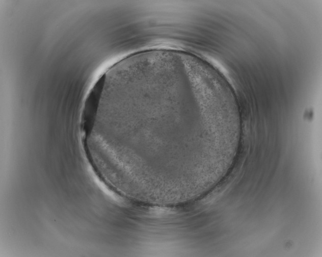 X0000089941379200707201853