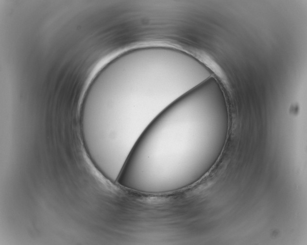 X0000089941380200707201853