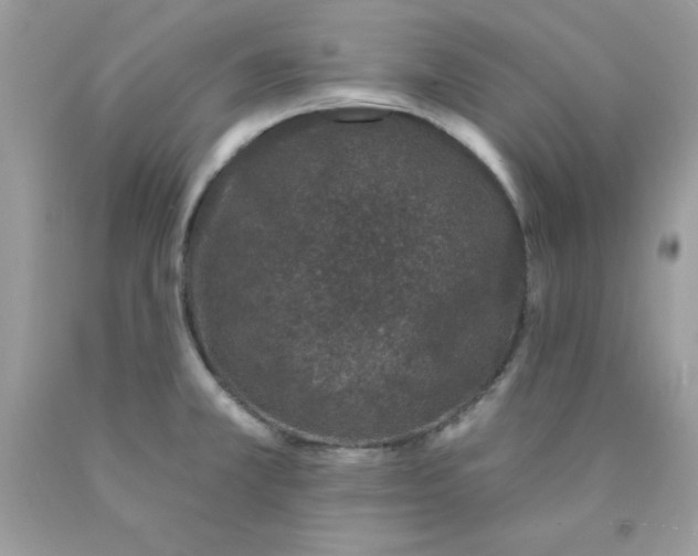 X0000089941381200707201853