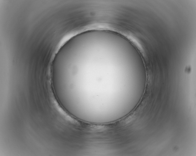 X0000089941382200707201853