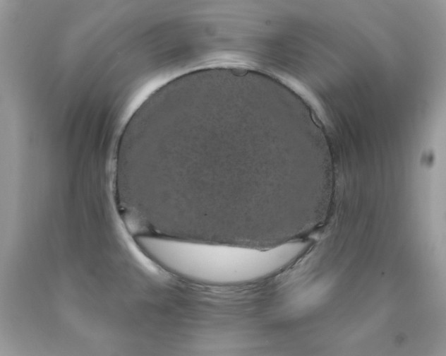 X0000089941383200707201853