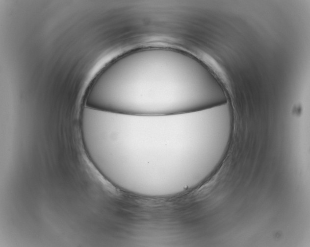 X0000089941384200707201853