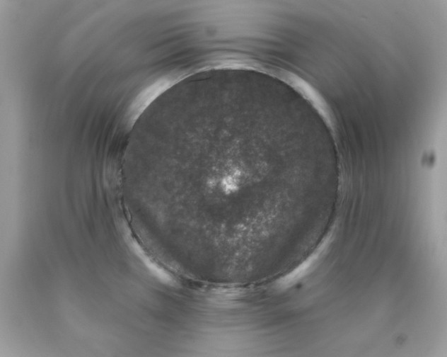 X0000089941385200707201853