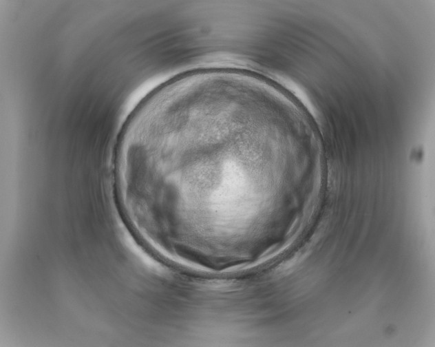 X0000089941387200707201853