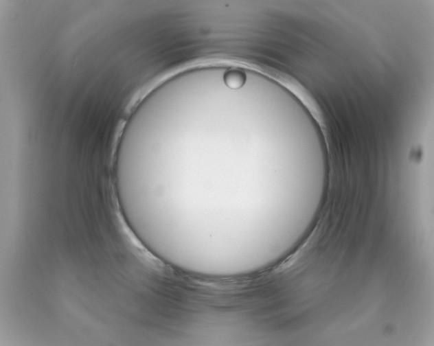 X0000089941388200707201853