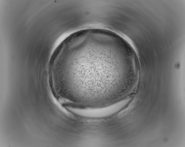 X0000089941389200707201853