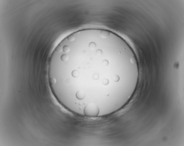 X0000089941390200707201853