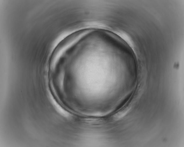 X0000089941391200707201853